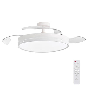 Ventilador de techo CONCEPT RAY