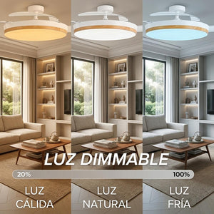 Ventilador de techo CONCEPT NATURE