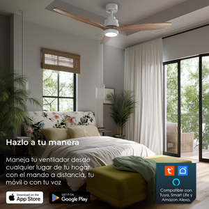 #Conluz #Haya