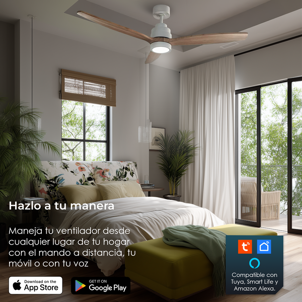 #Conluz #Haya