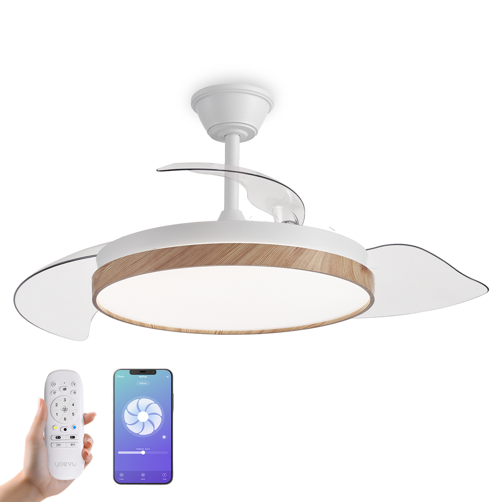 #WiFi