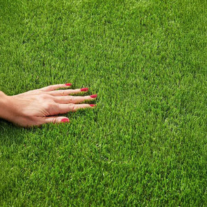 Césped Artificial 20 mm de altura